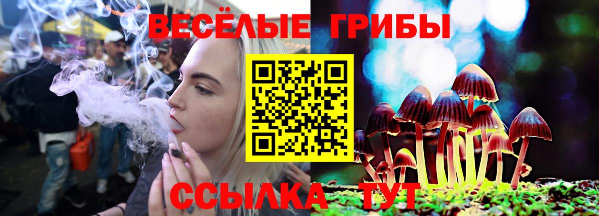 Псилоцибиновые грибы Psilocybine cubensis  Вход с VPN  Тольятти  Галлюциногенные грибы Psilocybine cubensis 